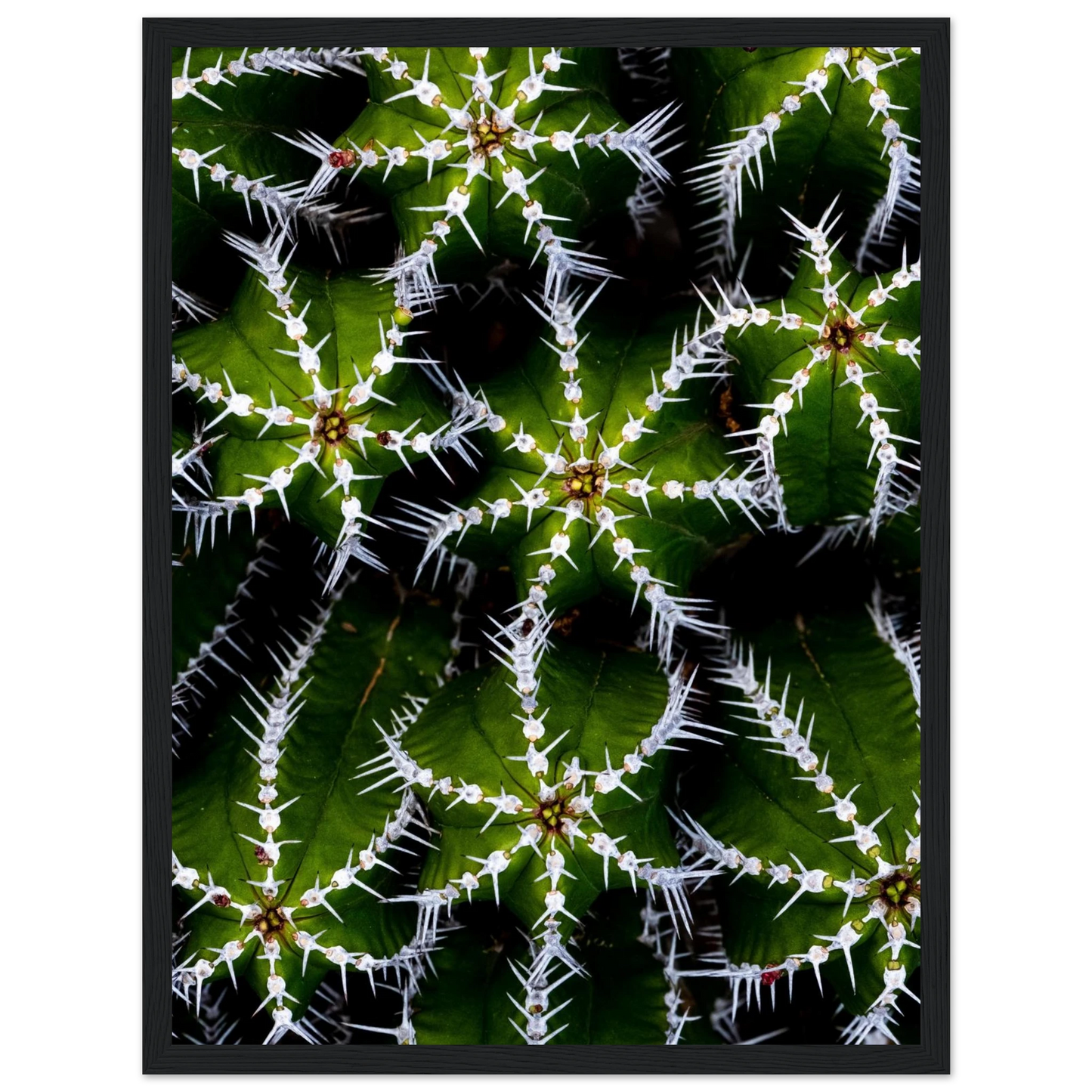 4c7555e0-2ec6-4c80-95a9-51ceb7a92838