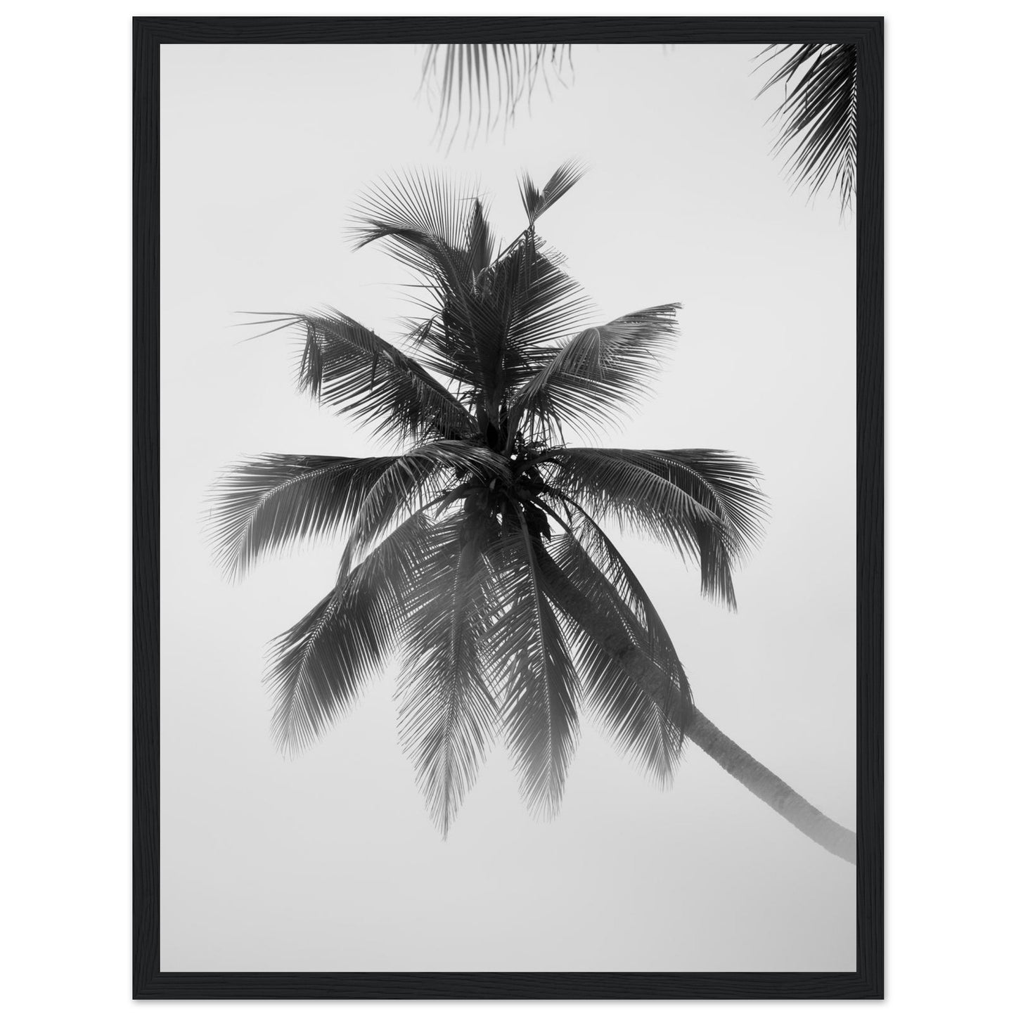 4f9b4974-c626-4feb-be23-f12c5484fbfe