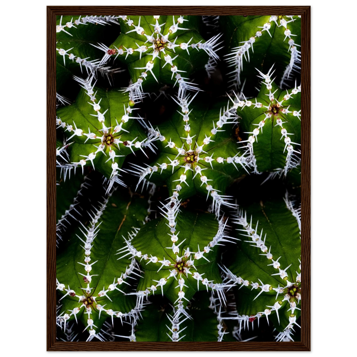 69225e7b-9998-4d84-b192-e7967df4fa86