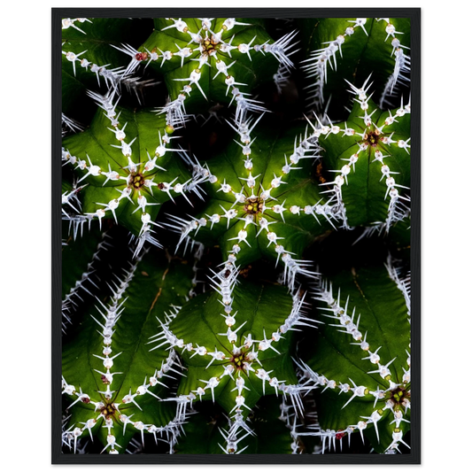 8c34f296-7785-48fb-bff7-e42f9387d798