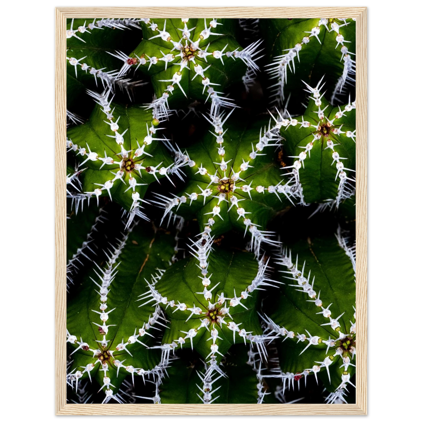 c01e5486-3d88-41c9-b436-10cf28e08de5