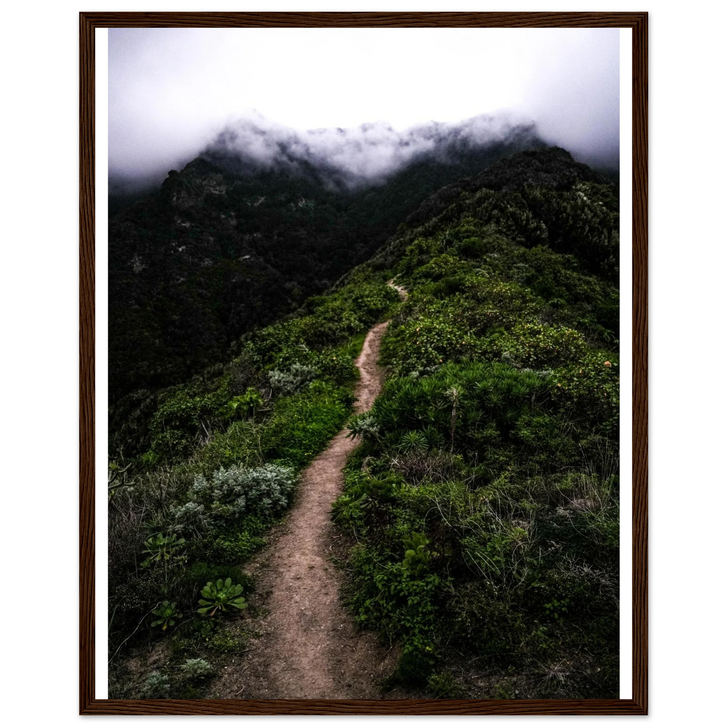 036aa884-7a5b-412e-bdc7-d3c4a6fd255c