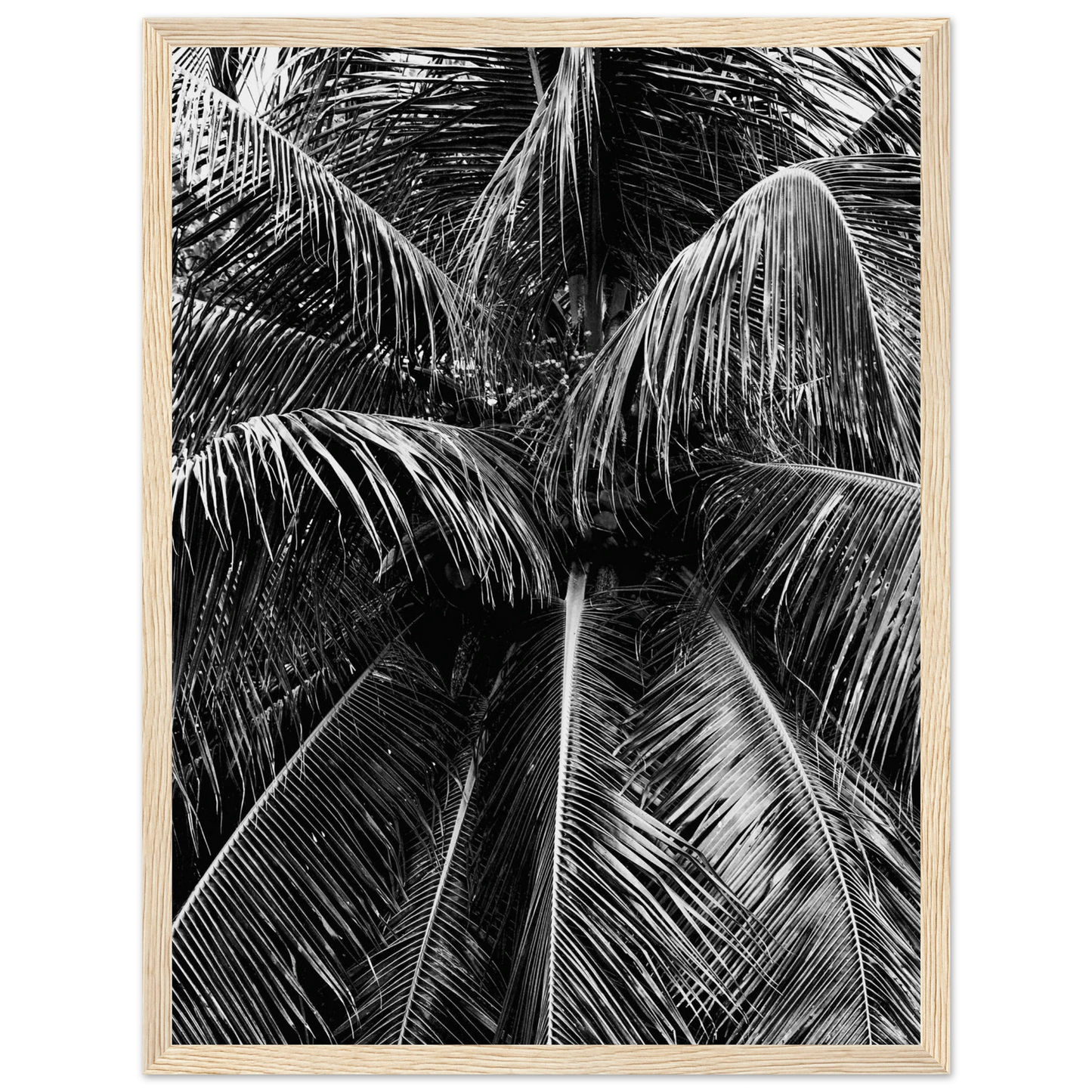 03b8cb00-6872-488b-86ef-deb74f5dfe28