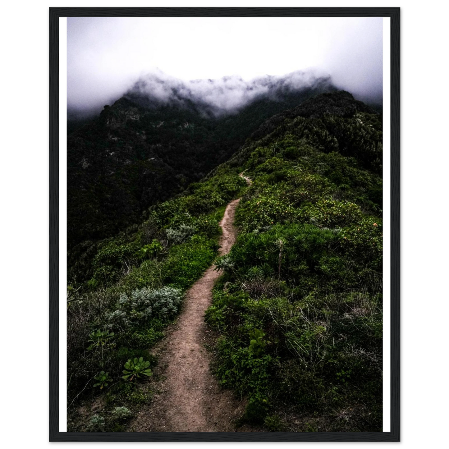 0d1c9a64-c286-4167-8aee-bec234e5ad21