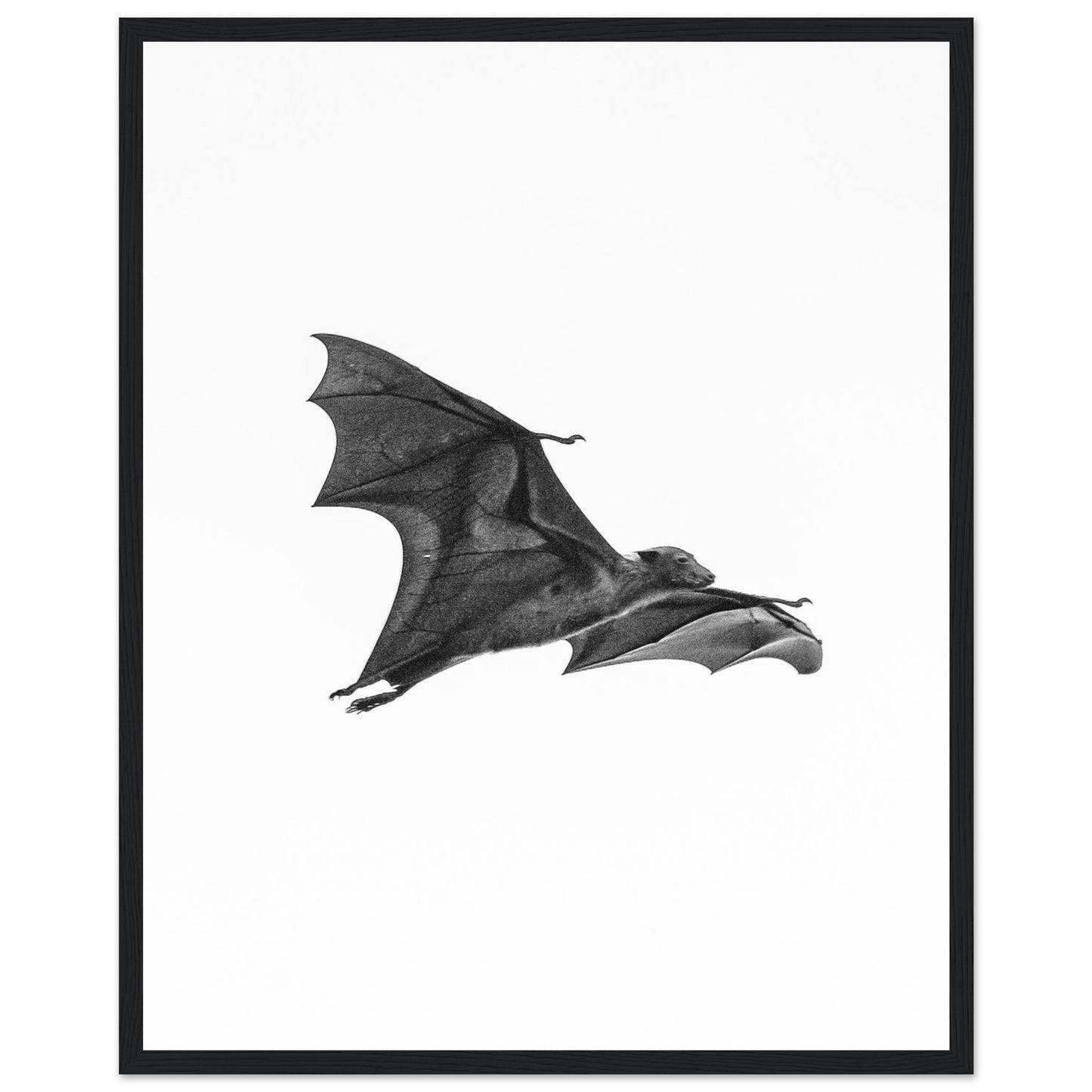 21a43b11-d1f0-4b74-8b9d-66a0fe13b7dd