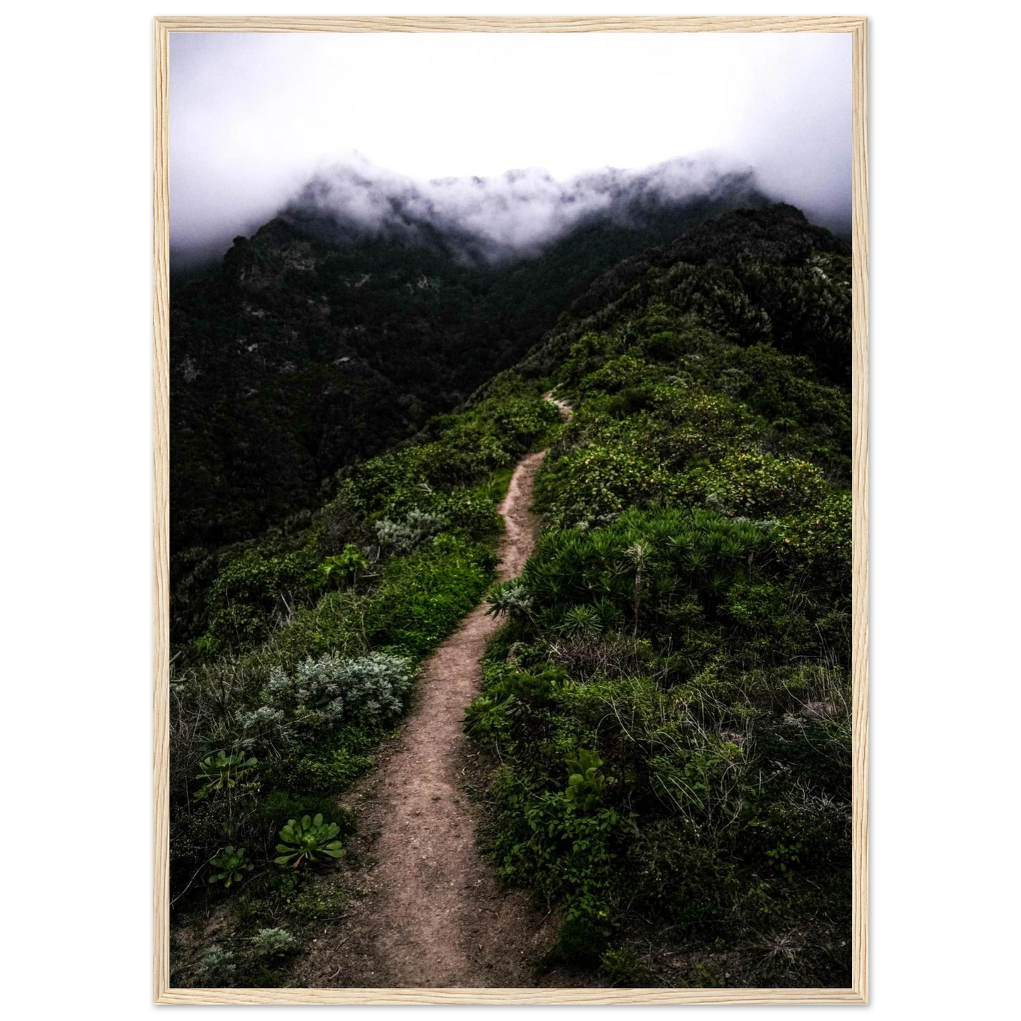 2210cf97-2f3c-4426-88c2-c9f6c1977ea6