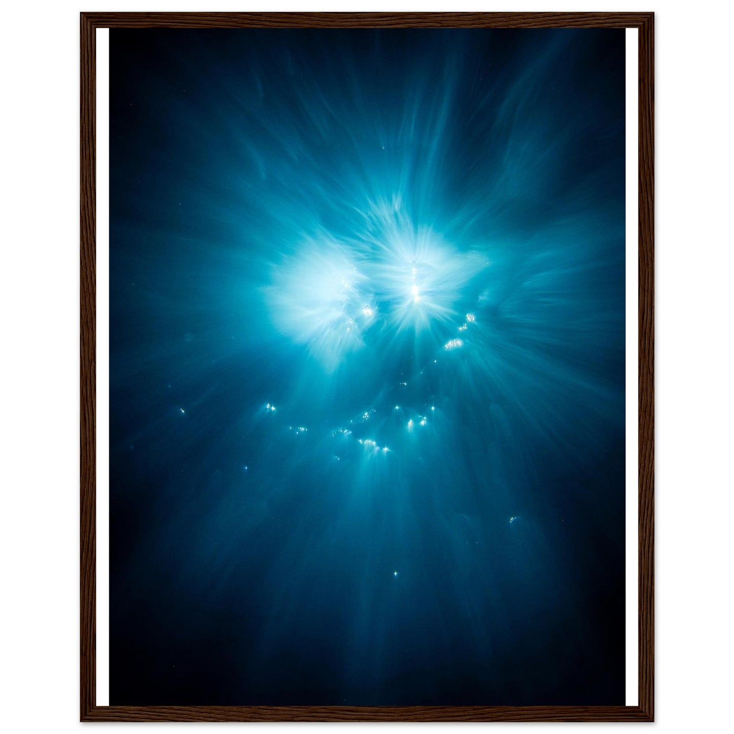 2f5d90e4-e44d-4b50-aefd-254a62780a18