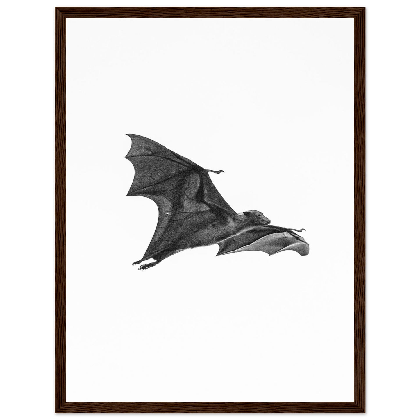 3f01b5aa-b686-4263-87b2-dc4e4cdf6e68