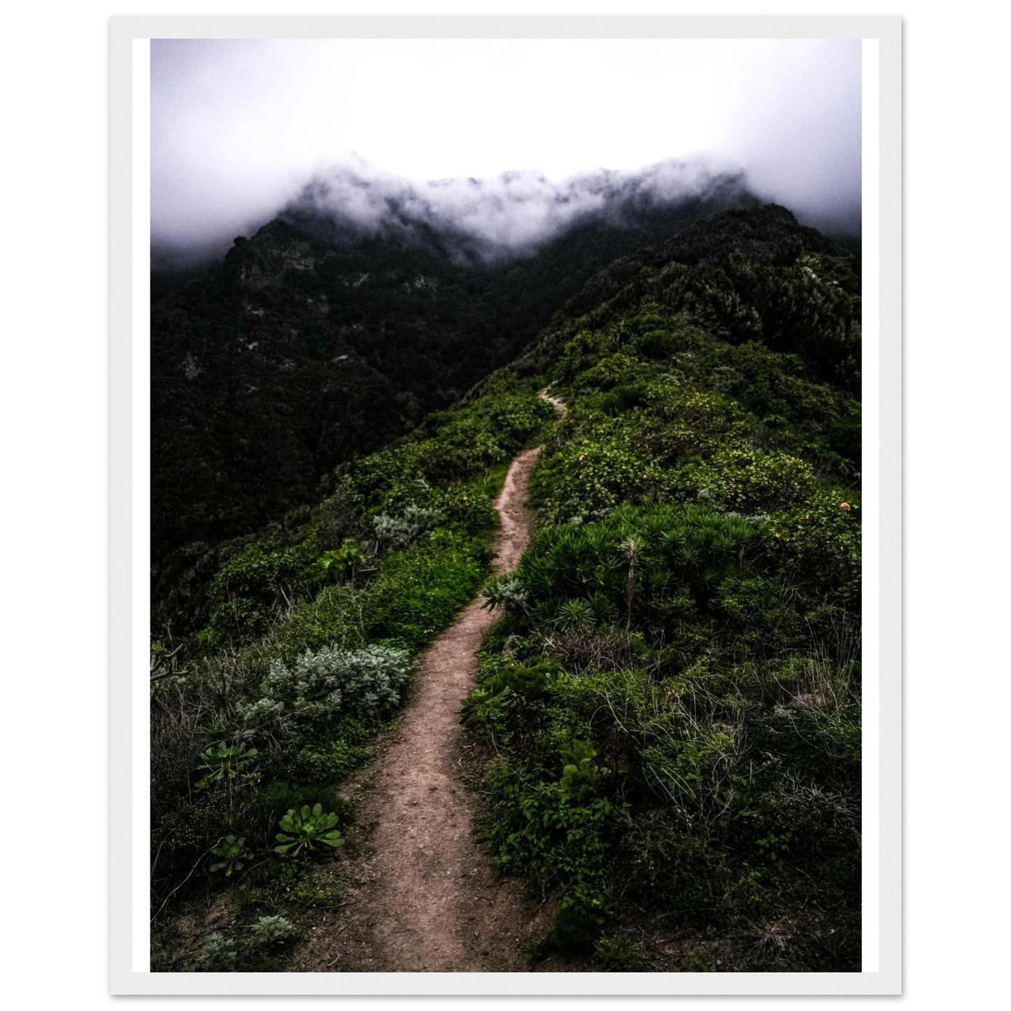 4f7ece7a-d419-4c94-942c-12ede47b8557