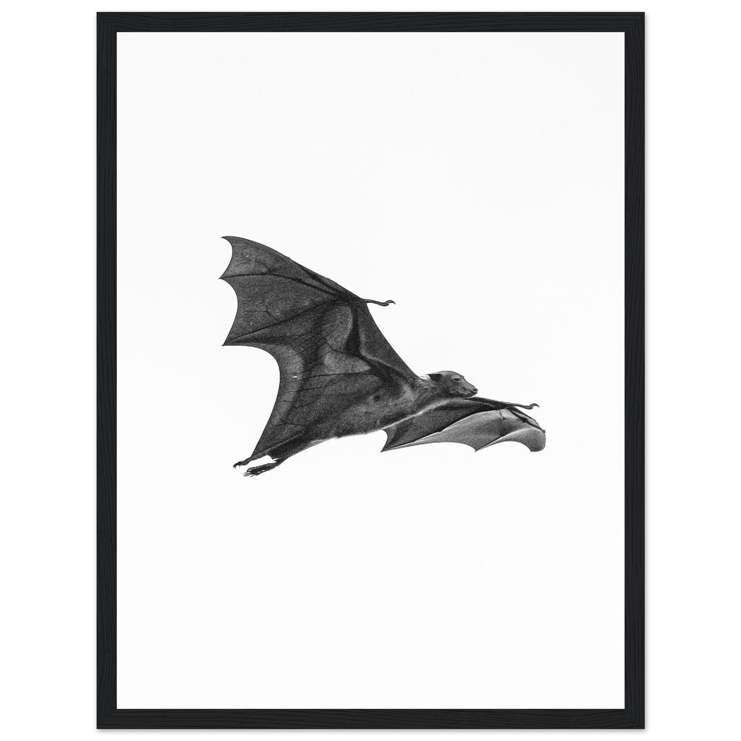 509f8732-a56b-4658-ba2e-815360ba2f00