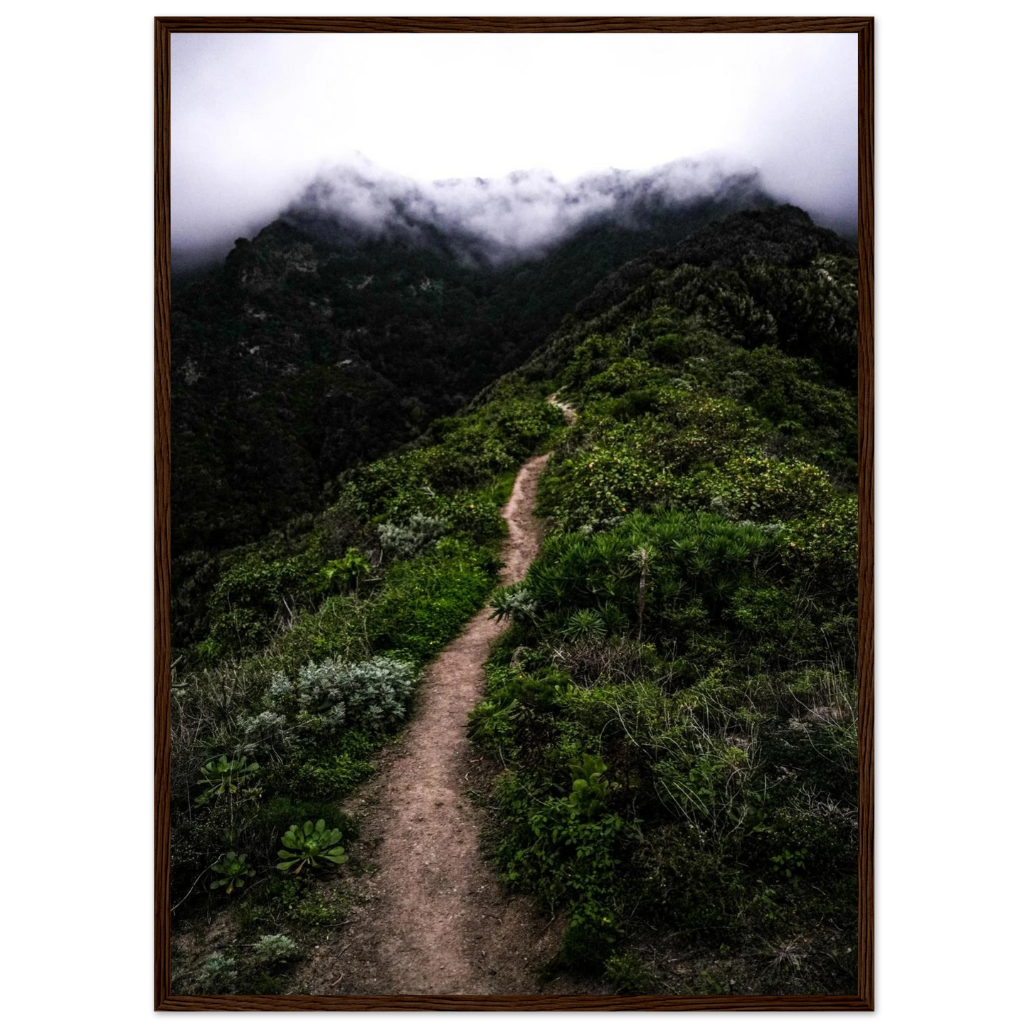 5a08989f-e2ae-4315-9d03-362cf5baef69