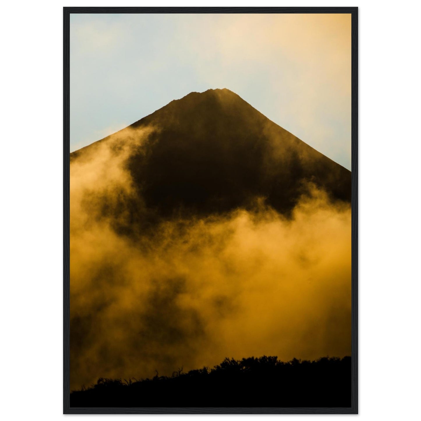 5a43e68a-c087-4310-8539-eb14f0b3837a