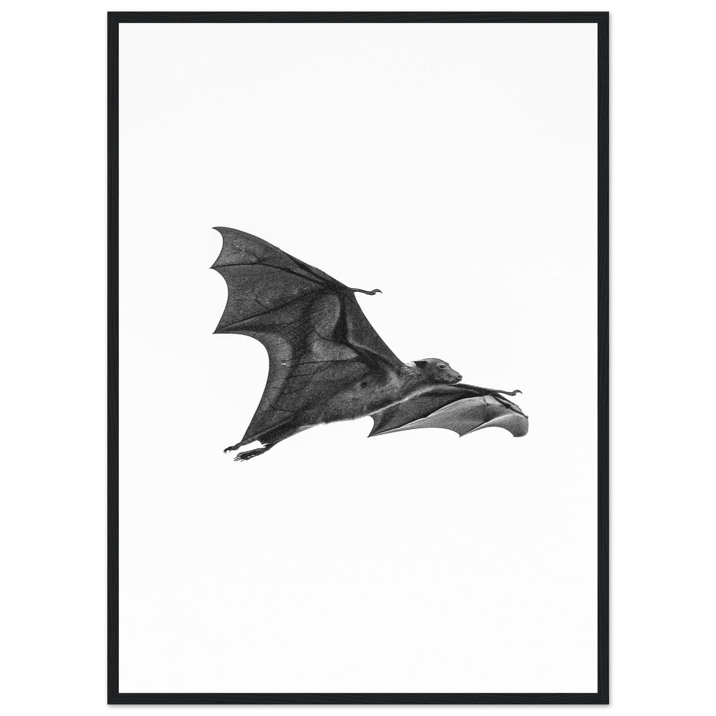 6c251460-ebd7-461f-872a-4a637847c19d