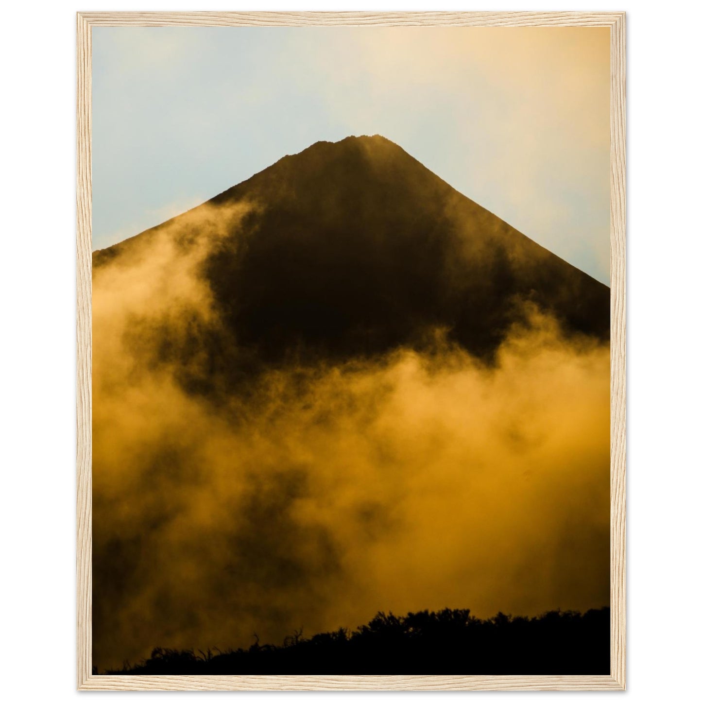 72eaad8f-323c-477c-858b-62a6902759ce