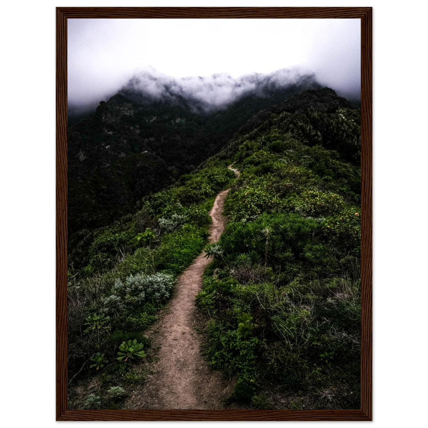 76c26341-5e45-4f90-ad6d-8b79569a51eb