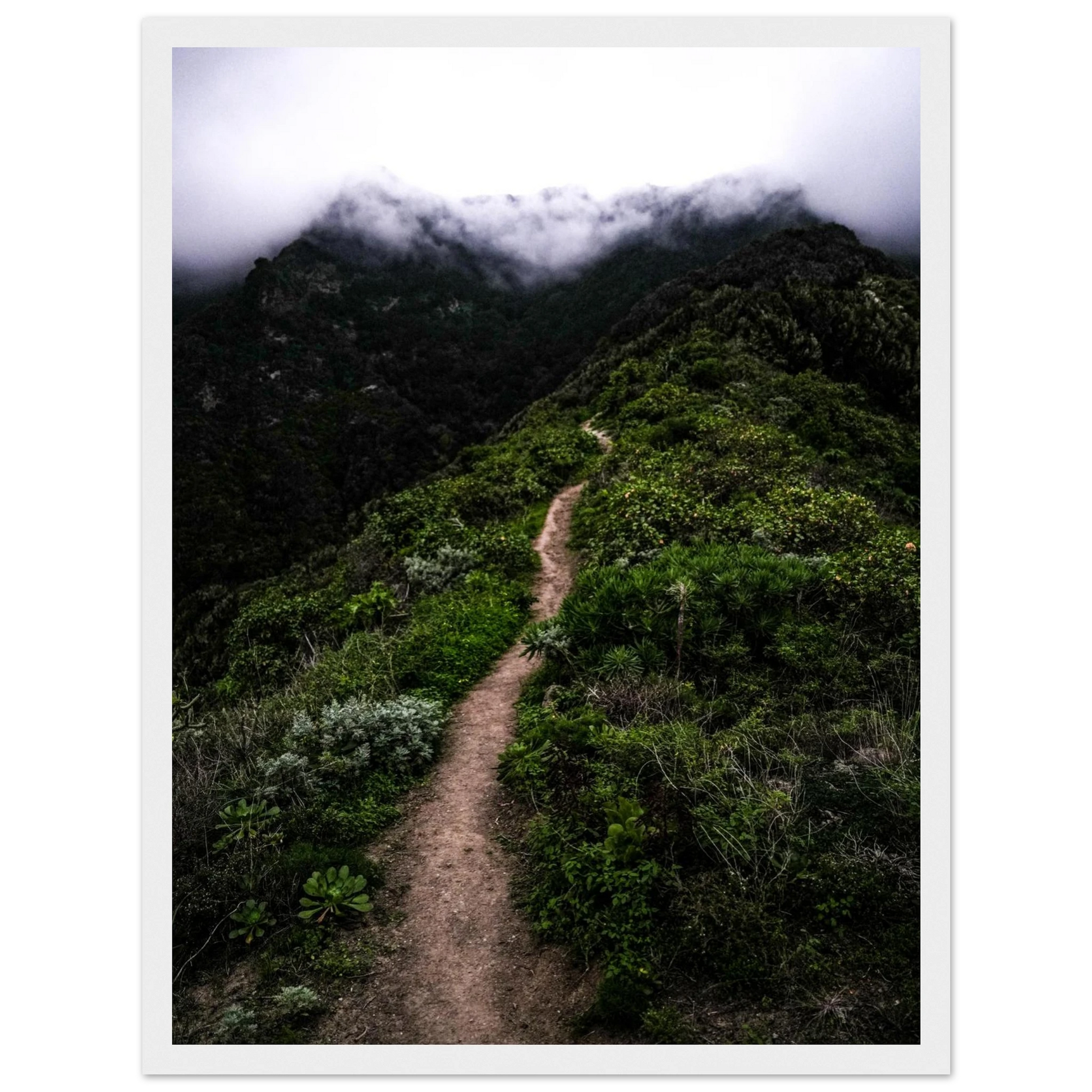 79303e3d-60b0-421a-9154-0052ae3872dc