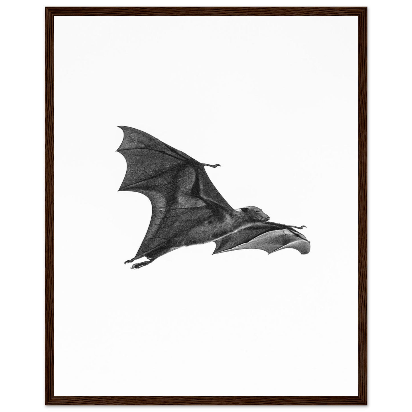 ae298071-1b47-4eb5-ae5b-d6e8a4eeed41