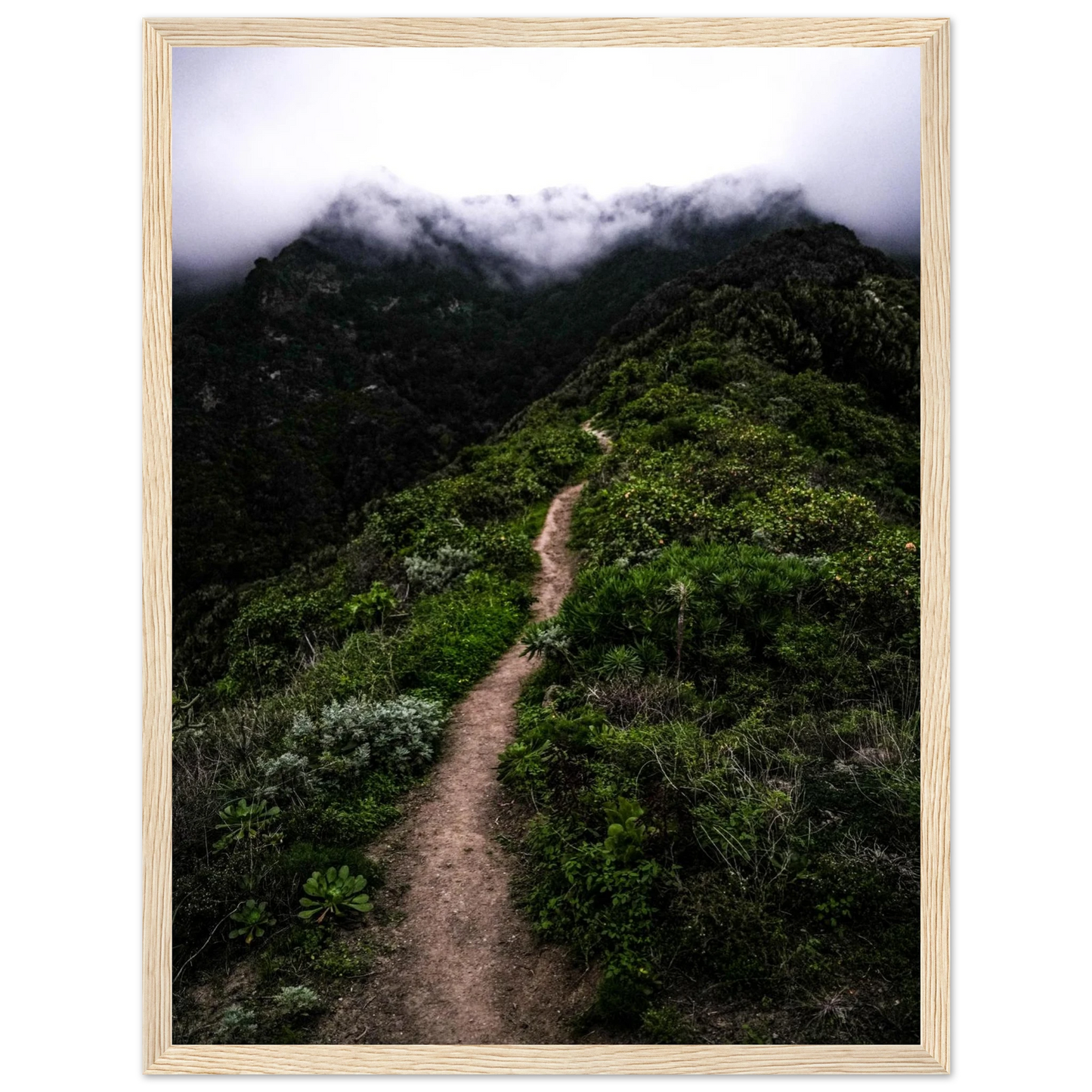 b8d505ec-c0c8-4278-a0c6-27dfd5665cde