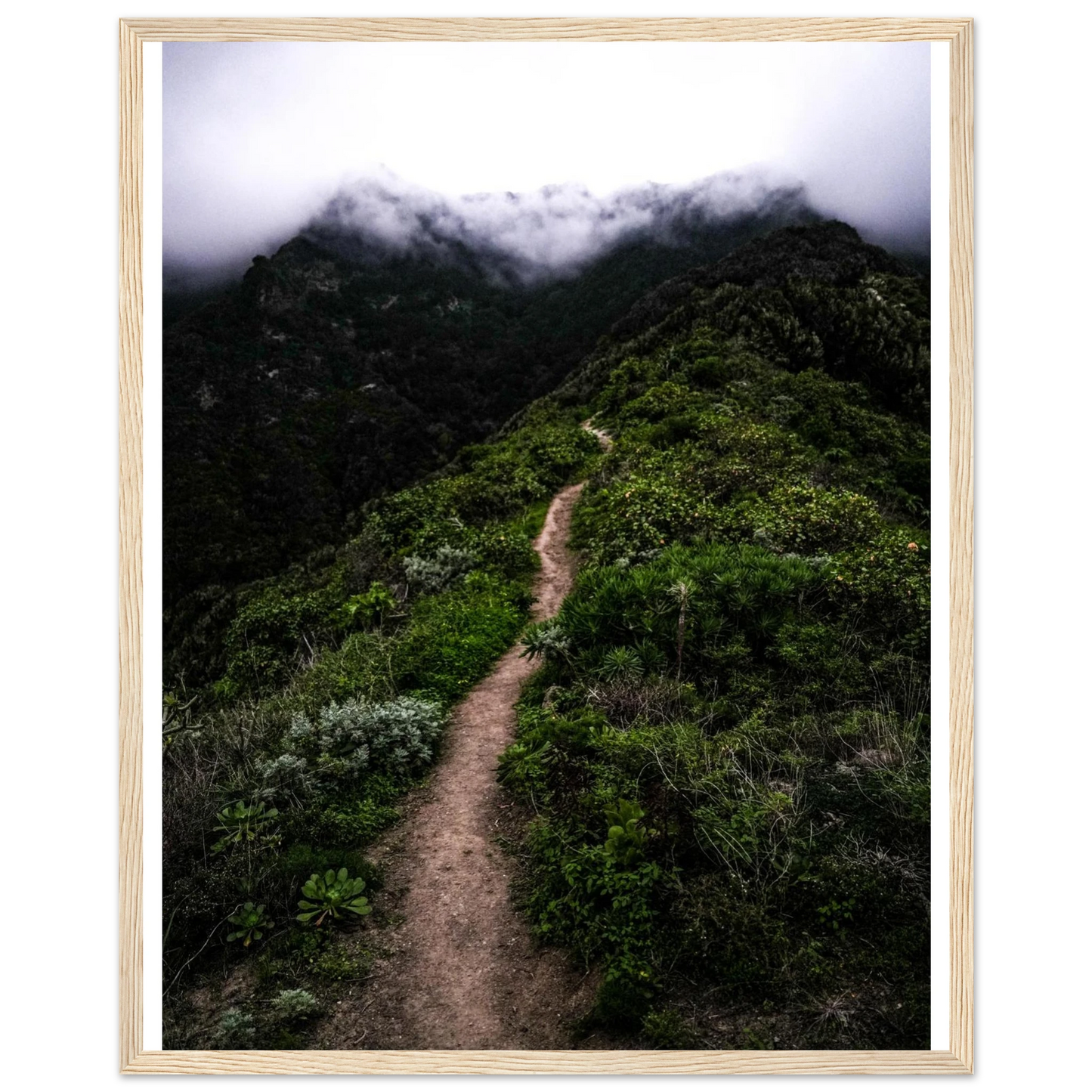 cace33bc-2659-4f27-ad27-86a43a38570d