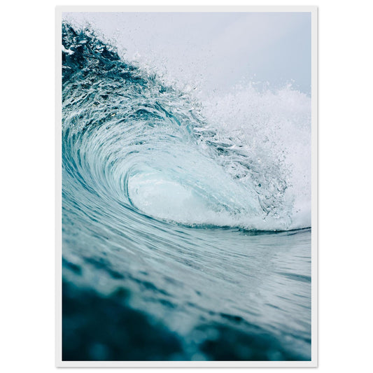 d5a7e1b7-e944-4fa4-aa12-27a49195f49e