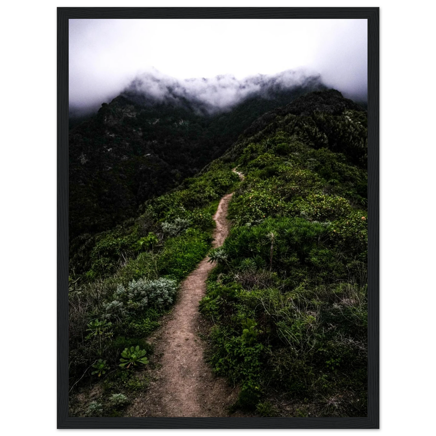 e930db7f-678f-472e-ac9b-8b9e3660a1c1