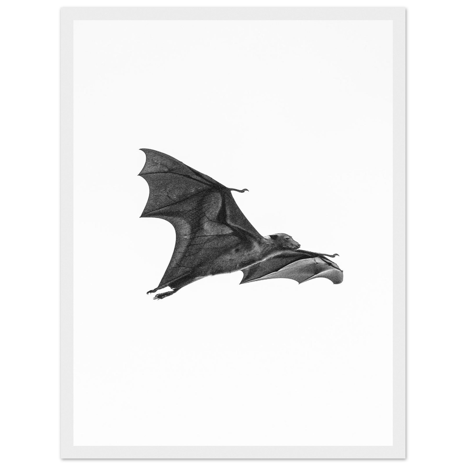 eace0293-00df-43ce-a965-8f700373992c