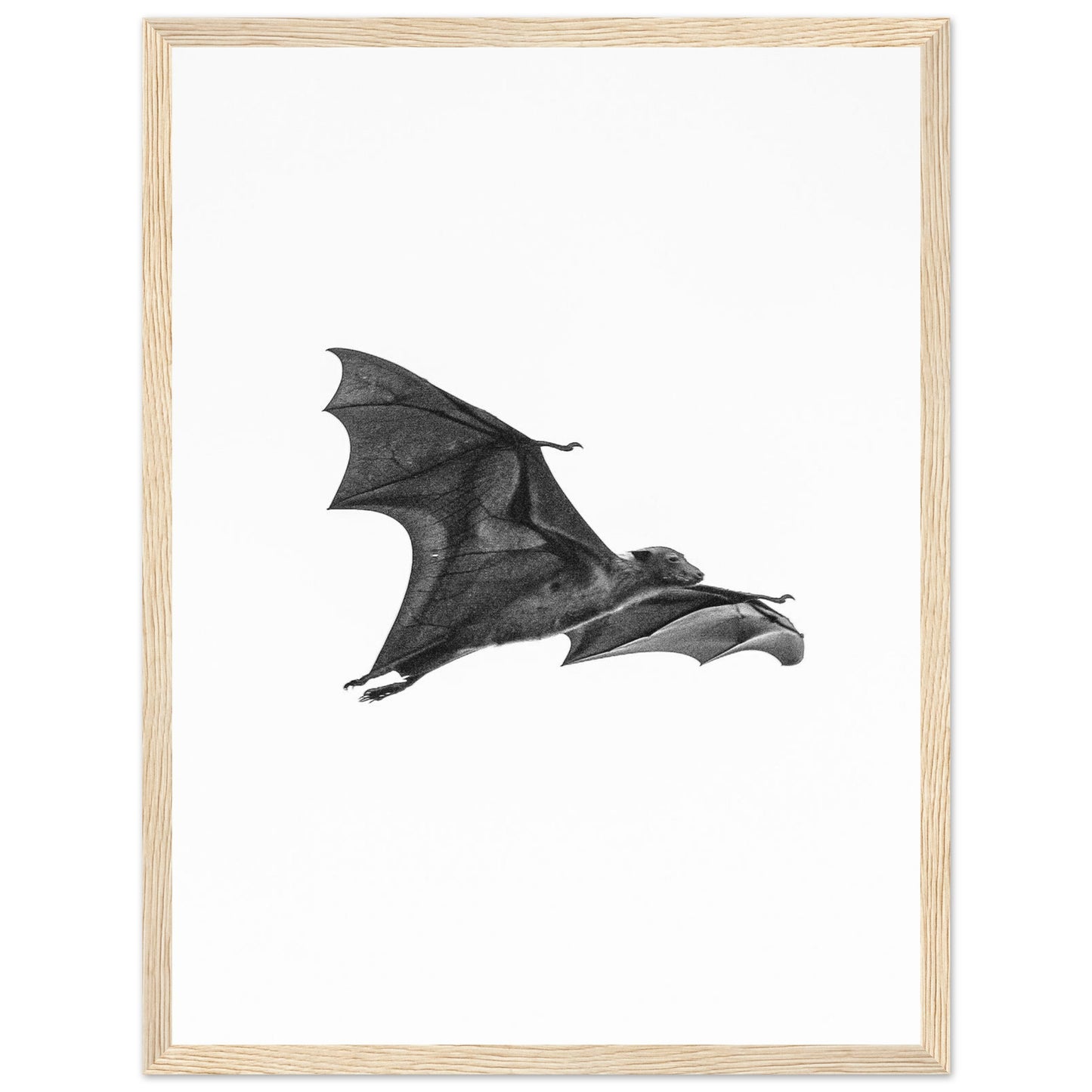 fd390ec7-fc43-4b65-a1f2-8e994145d1a8